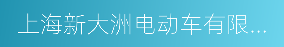 上海新大洲电动车有限公司的同义词