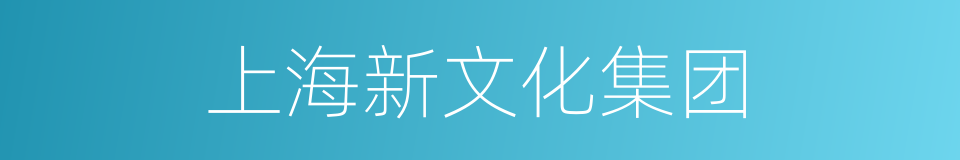 上海新文化集团的同义词