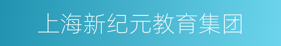上海新纪元教育集团的同义词