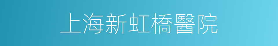 上海新虹橋醫院的同義詞