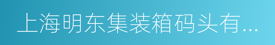 上海明东集装箱码头有限公司的同义词