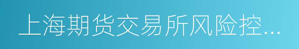 上海期货交易所风险控制管理办法的同义词