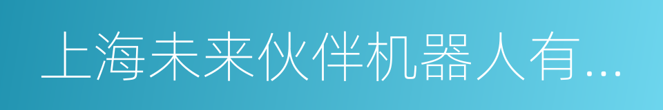 上海未来伙伴机器人有限公司的同义词