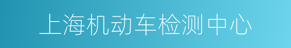 上海机动车检测中心的同义词