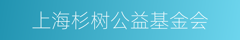 上海杉树公益基金会的同义词