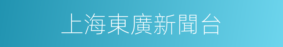 上海東廣新聞台的同義詞