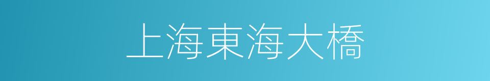 上海東海大橋的同義詞