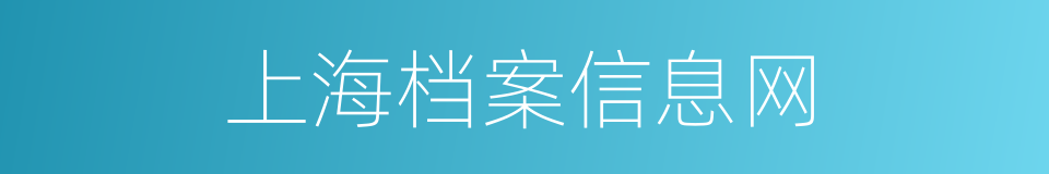 上海档案信息网的同义词
