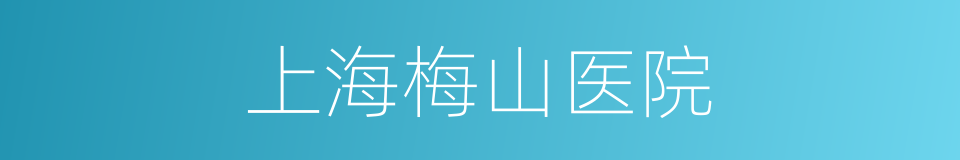上海梅山医院的同义词