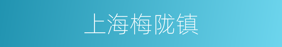 上海梅陇镇的同义词