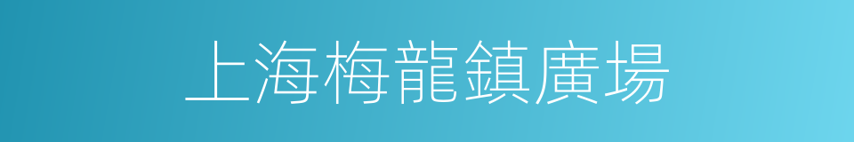 上海梅龍鎮廣場的同義詞