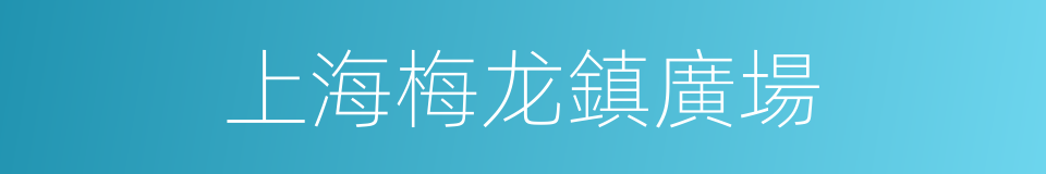 上海梅龙鎮廣場的同義詞