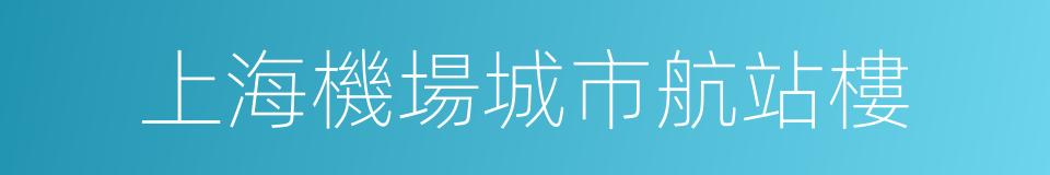 上海機場城市航站樓的同義詞