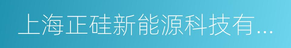 上海正硅新能源科技有限公司的同义词