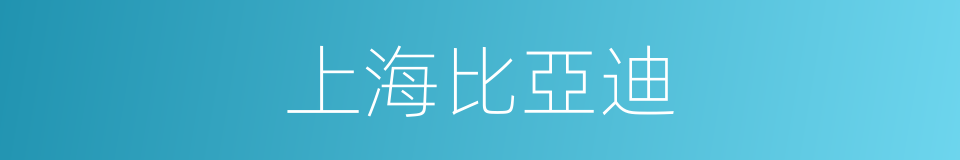 上海比亞迪的同義詞