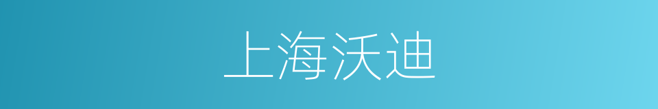 上海沃迪的同义词