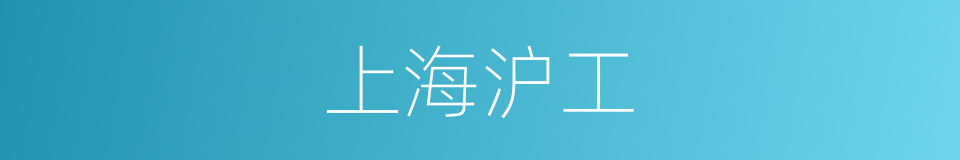 上海沪工的同义词