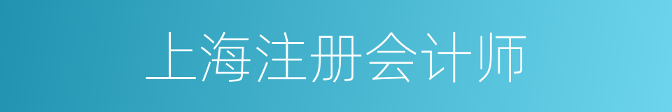 上海注册会计师的同义词