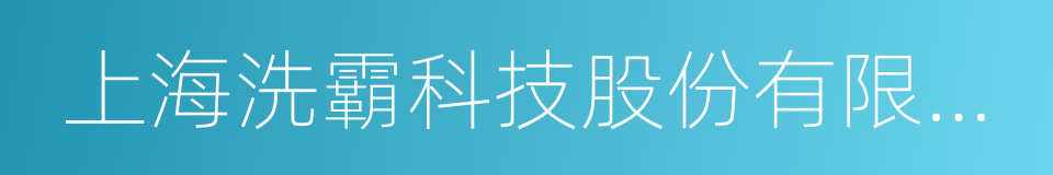 上海洗霸科技股份有限公司的同义词