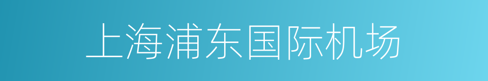 上海浦东国际机场的同义词