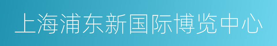 上海浦东新国际博览中心的同义词