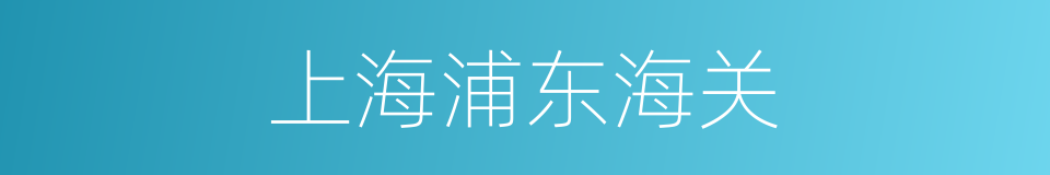 上海浦东海关的同义词