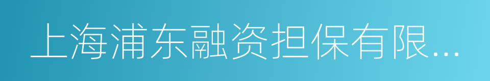 上海浦东融资担保有限公司的同义词