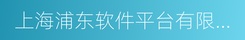 上海浦东软件平台有限公司的同义词