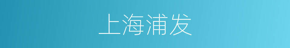 上海浦发的同义词