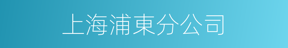 上海浦東分公司的同義詞