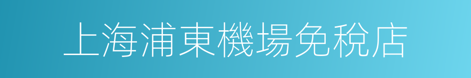 上海浦東機場免稅店的同義詞