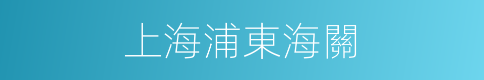 上海浦東海關的同義詞