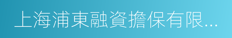 上海浦東融資擔保有限公司的同義詞