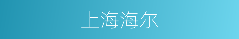 上海海尔的同义词