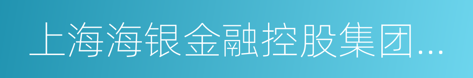 上海海银金融控股集团有限公司的同义词