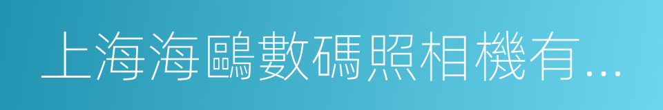 上海海鷗數碼照相機有限公司的同義詞