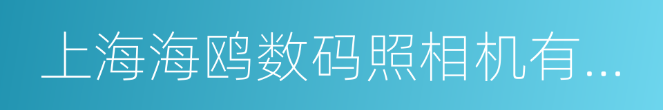 上海海鸥数码照相机有限公司的同义词