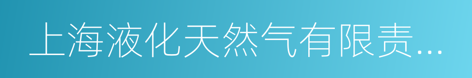 上海液化天然气有限责任公司的同义词