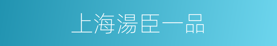 上海湯臣一品的同義詞