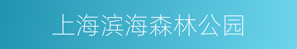 上海滨海森林公园的同义词