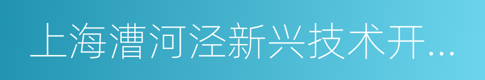 上海漕河泾新兴技术开发区的同义词