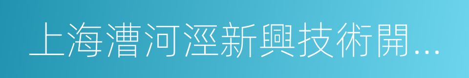 上海漕河涇新興技術開發區科技創業中心的同義詞
