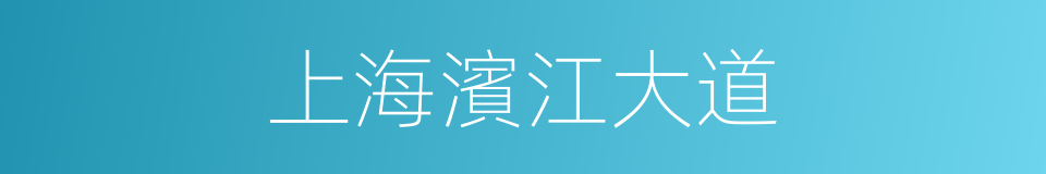 上海濱江大道的同義詞