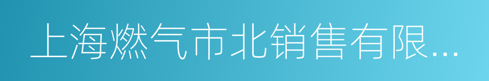 上海燃气市北销售有限公司的同义词