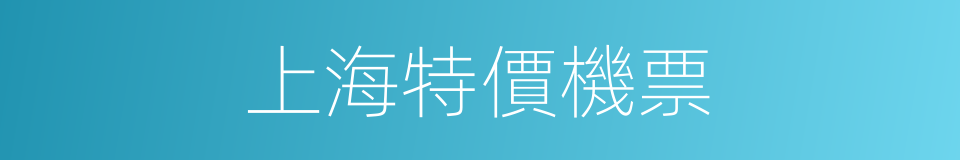 上海特價機票的同義詞