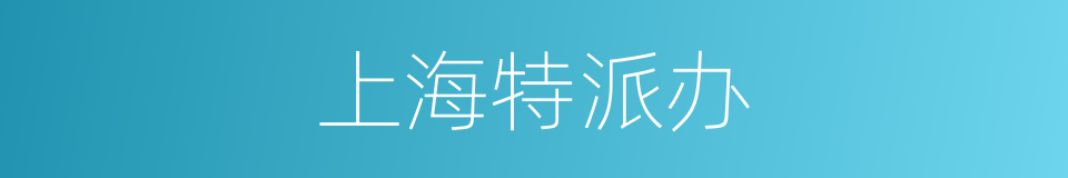 上海特派办的同义词