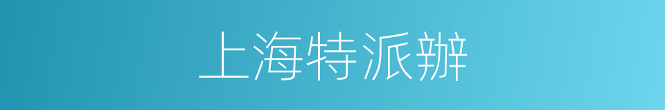 上海特派辦的同義詞