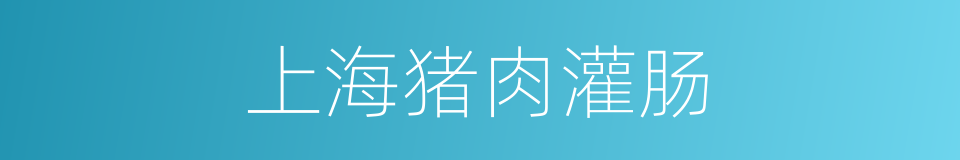 上海猪肉灌肠的同义词