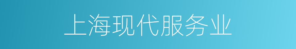 上海现代服务业的同义词