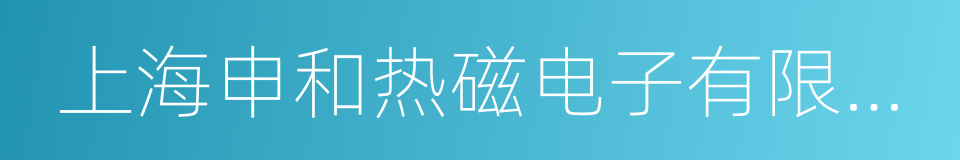 上海申和热磁电子有限公司的同义词